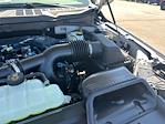 2025 Ford F-150 SuperCrew Cab 4x2 Pickup for sale #D51560 - photo 17