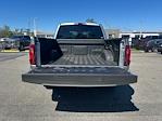 2025 Ford F-150 SuperCrew Cab 4x2 Pickup for sale #D51560 - photo 31