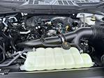 2025 Ford F-150 SuperCrew Cab 4x2 Pickup for sale #D69810 - photo 15
