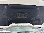 2025 Ford F-150 SuperCrew Cab 4x2 Pickup for sale #D69810 - photo 18