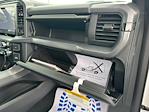 2025 Ford F-150 SuperCrew Cab 4x2 Pickup for sale #D69810 - photo 30