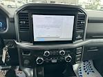 2025 Ford F-150 SuperCrew Cab 4x2 Pickup for sale #D69810 - photo 52
