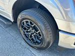 2025 Ford F-150 SuperCrew Cab 4x2 Pickup for sale #D80441 - photo 12