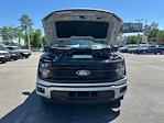 2025 Ford F-150 SuperCrew Cab 4x2 Pickup for sale #D80441 - photo 14