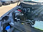 2025 Ford F-150 SuperCrew Cab 4x2 Pickup for sale #D80441 - photo 16