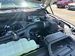 2025 Ford F-150 SuperCrew Cab 4x2 Pickup for sale #D80441 - photo 17