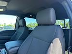 2025 Ford F-150 SuperCrew Cab 4x2 Pickup for sale #D80441 - photo 21
