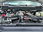 New 2025 Ford F-250 Platinum Crew Cab 4x4 Pickup for sale #D90326 - photo 19