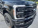 New 2025 Ford F-250 Platinum Crew Cab 4x4 Pickup for sale #D91258 - photo 10