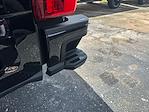New 2025 Ford F-250 Platinum Crew Cab 4x4 Pickup for sale #D91258 - photo 17