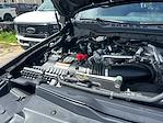 New 2025 Ford F-250 Platinum Crew Cab 4x4 Pickup for sale #D91258 - photo 21