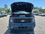 2025 Ford F-150 SuperCrew Cab 4x2 Pickup for sale #D92416 - photo 14
