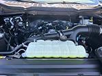 2025 Ford F-150 SuperCrew Cab 4x2 Pickup for sale #D92416 - photo 15