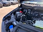 2025 Ford F-150 SuperCrew Cab 4x2 Pickup for sale #D92416 - photo 16