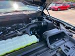 2025 Ford F-150 SuperCrew Cab 4x2 Pickup for sale #D92416 - photo 17