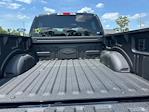 2025 Ford F-150 SuperCrew Cab 4x4 Pickup for sale #D92926 - photo 34