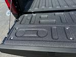 2025 Ford F-150 SuperCrew Cab 4x4 Pickup for sale #D92926 - photo 40