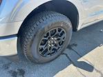 2025 Ford F-150 SuperCrew Cab 4x4 Pickup for sale #D93768 - photo 12