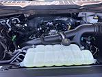 2025 Ford F-150 SuperCrew Cab 4x4 Pickup for sale #D93768 - photo 17
