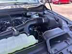 2025 Ford F-150 SuperCrew Cab 4x4 Pickup for sale #D93768 - photo 19