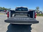 2025 Ford F-150 SuperCrew Cab 4x4 Pickup for sale #D93768 - photo 33