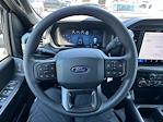 2025 Ford F-150 SuperCrew Cab 4x4 Pickup for sale #D93768 - photo 45