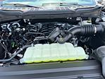 2025 Ford F-150 SuperCrew Cab 4x4 Pickup for sale #D94933 - photo 17