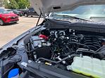2025 Ford F-150 SuperCrew Cab 4x4 Pickup for sale #D94933 - photo 18