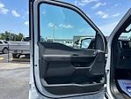 2025 Ford F-150 SuperCrew Cab 4x4 Pickup for sale #D94933 - photo 20