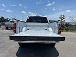 2025 Ford F-150 SuperCrew Cab 4x4 Pickup for sale #D94933 - photo 32