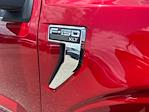 New 2025 Ford F-150 XLT SuperCrew Cab 4x4 Pickup for sale #D99108 - photo 13