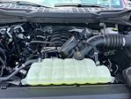 New 2025 Ford F-150 XLT SuperCrew Cab 4x4 Pickup for sale #D99108 - photo 17