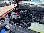 New 2025 Ford F-150 XLT SuperCrew Cab 4x4 Pickup for sale #D99108 - photo 18