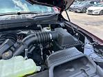 New 2025 Ford F-150 XLT SuperCrew Cab 4x4 Pickup for sale #D99108 - photo 19