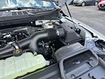 New 2025 Ford F-150 STX SuperCrew Cab 4x4 Pickup for sale #E06630 - photo 19