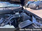 New 2025 Ford F-150 XLT SuperCrew Cab 4WD Pickup for sale #E07188 - photo 20