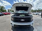 2025 Ford F-150 SuperCrew Cab 4x2 Pickup for sale #E07447 - photo 16