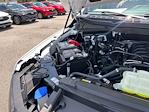 2025 Ford F-150 SuperCrew Cab 4x2 Pickup for sale #E07447 - photo 18