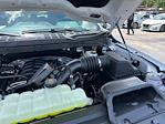 2025 Ford F-150 SuperCrew Cab 4x2 Pickup for sale #E07447 - photo 19