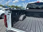 2025 Ford F-150 SuperCrew Cab 4x2 Pickup for sale #E07447 - photo 35