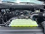 2025 Ford F-150 SuperCrew Cab 4x2 Pickup for sale #E07794 - photo 15