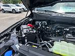 2025 Ford F-150 SuperCrew Cab 4x2 Pickup for sale #E07794 - photo 16