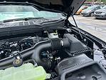 2025 Ford F-150 SuperCrew Cab 4x2 Pickup for sale #E07794 - photo 17