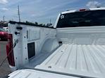 2025 Ford F-150 SuperCrew Cab 4x2 Pickup for sale #E07914 - photo 33