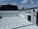 2025 Ford F-150 SuperCrew Cab 4x2 Pickup for sale #E07914 - photo 34