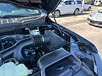 New 2025 Ford F-150 STX SuperCrew Cab 4WD Pickup for sale #E09147 - photo 23