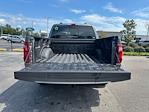 New 2025 Ford F-150 XLT SuperCrew Cab Pickup for sale #E10487 - photo 32