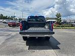 2025 Ford F-150 SuperCrew Cab 4x4 Pickup for sale #E14107 - photo 34