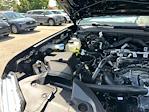 New 2025 Ford Ranger XL SuperCrew Cab 4x4 Pickup for sale #E16280 - photo 17