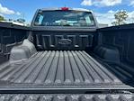 2025 Ford Ranger SuperCrew Cab 4x2 Pickup for sale #E17102 - photo 31
